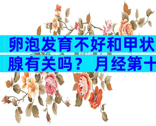 卵泡发育不好和甲状腺有关吗？ 月经第十天卵泡多大、内膜多厚？